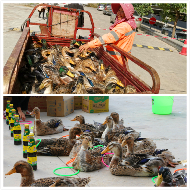 币游·国际(中国)最新官方网站