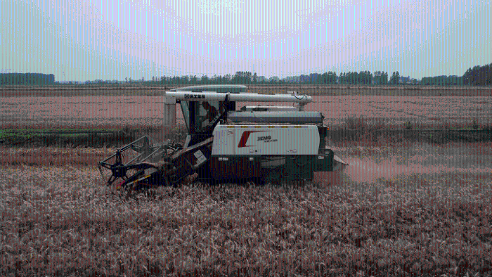 f19cc9dfabbd473a955692fac1b53715