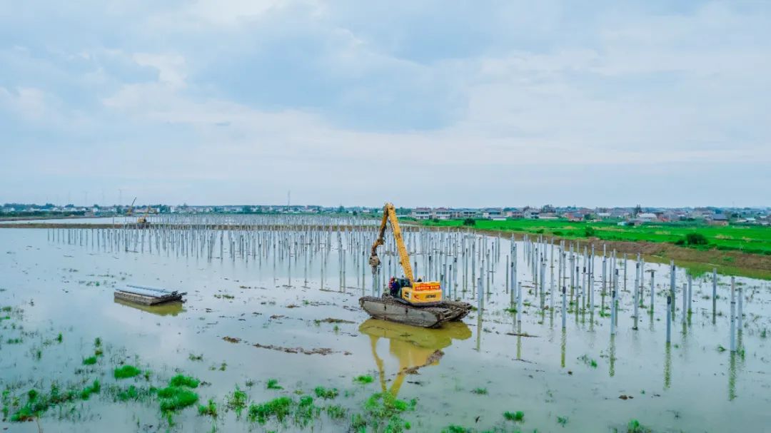 Z6·尊龙凯时(中国区)人生就是搏!