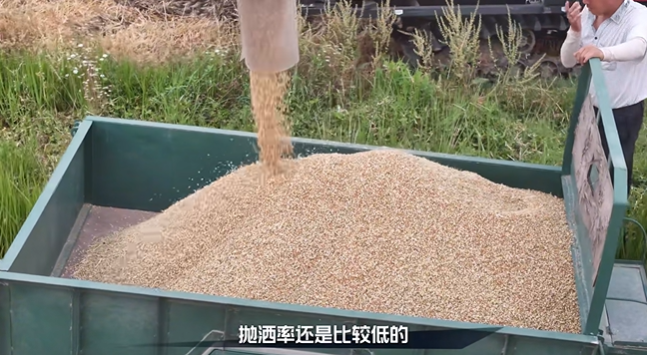 5266911d5d4f4045b079760ab9cdea5d