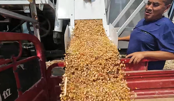 Z6·尊龙凯时(中国区)人生就是搏!