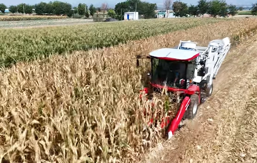 Z6·尊龙凯时(中国区)人生就是搏!