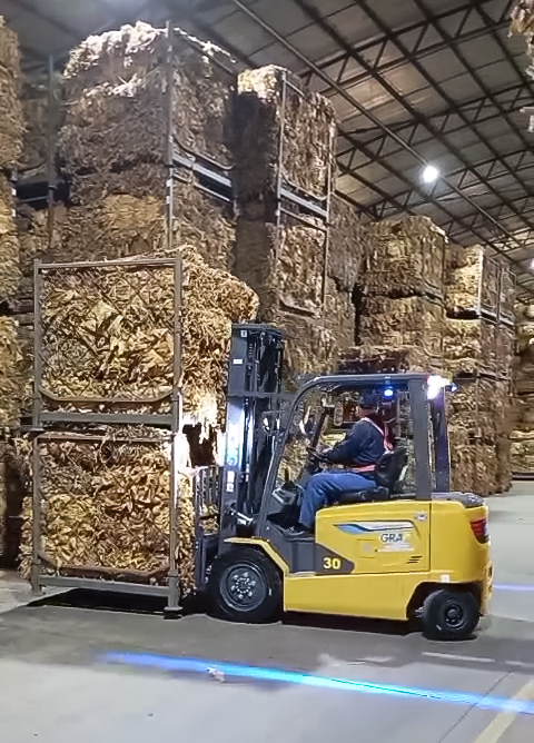 Z6尊龙凯时鲲鹏电动叉车：烟草运输的安全高效新选择