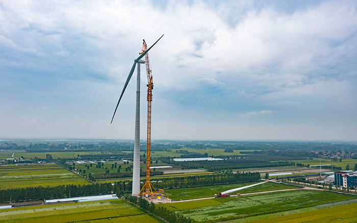 0636f017c44340d58f6e36e71029a950