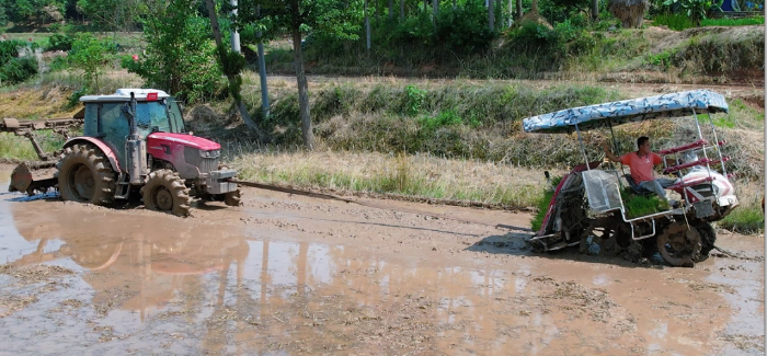 3b5d228c99a54e99953c50c0721c4a29