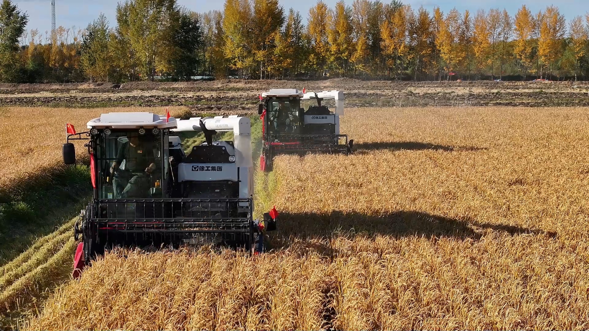 Z6·尊龙凯时(中国区)人生就是搏!